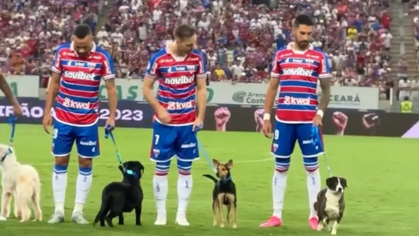 Fortaleza de Brasil sale al campo acompañado de perritos en su partido frente América MG