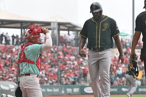 Pericos de Puebla avanza a la Serie de Campeonato de la Zona Sur tras vencer a Diablos Rojos