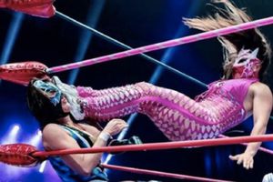 El nuevo Campeonato Femenil de Parejas tendrá a sus primeras campeonas en el Aniversario del CMLL