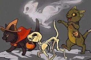 Día de Muertos: 27 de octubre, día que regresan nuestras mascotas que fallecieron