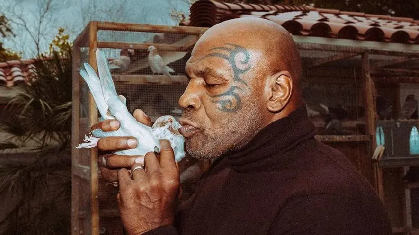 Mike Tyson y su raro viaje a Polonia para ¡comprar 100 palomas!