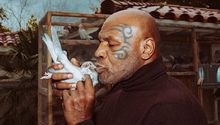 Mike Tyson y su raro viaje a Polonia para ¡comprar 100 palomas!