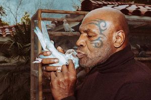 Mike Tyson y su raro viaje a Polonia para ¡comprar 100 palomas!