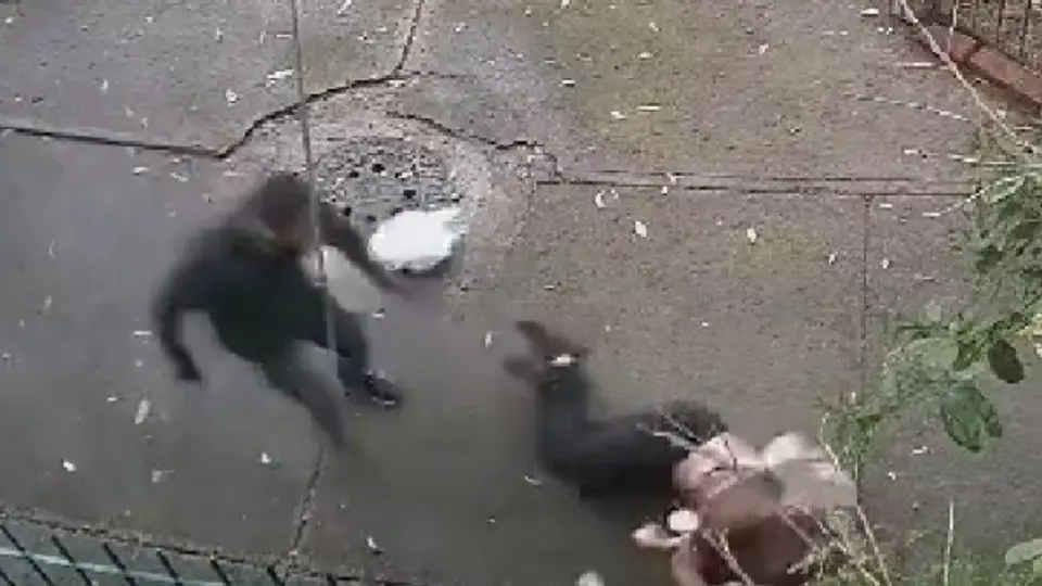Ladrón arrastra a mujer para robarle sus pertenencias en Tlalpan