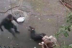 Ladrón arrastra a mujer para robarle sus pertenencias en Tlalpan