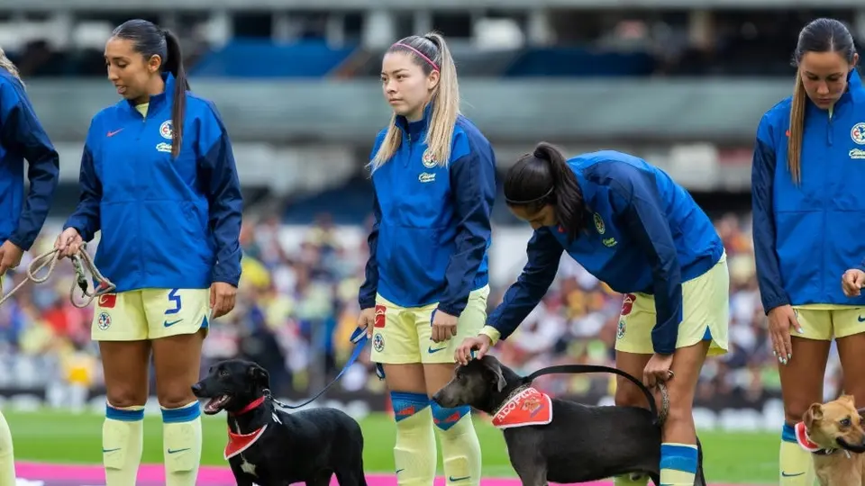 América y Santos Femenil promueven la adopción de perros previo a su partido