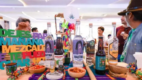 Mezcal guerrerense: tradición destilada con sabor y pasión