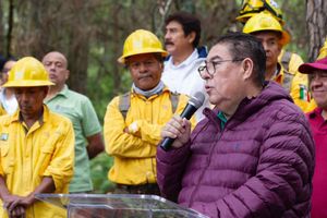 Encabeza Víctor Mercado jornada de reforestación en Cuernavaca