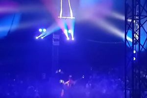 Video de trapecista que se cayó al vacío en un show de circo en vivo en Rusia se hace viral