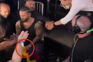 Fan toca a Maluma en partes íntimas tras presentación en Estados Unidos