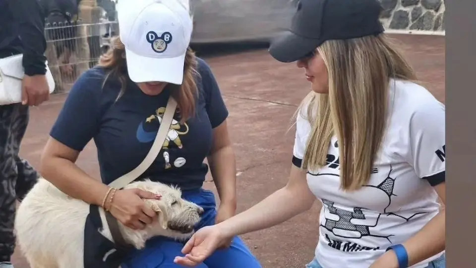 Pumas inició con el pie derecho la campaña 'Adopta un amigo'