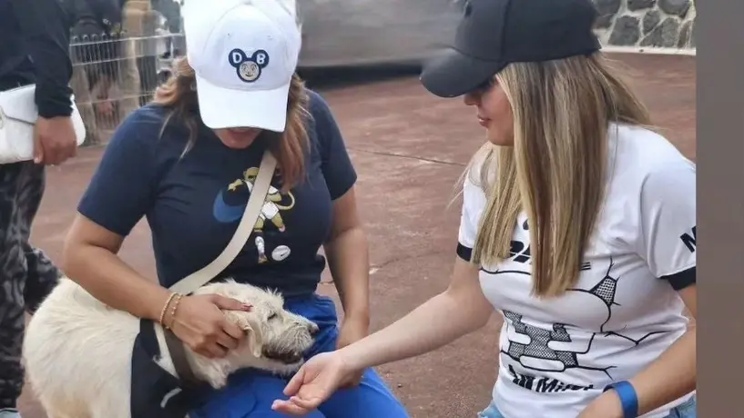 Pumas inició con el pie derecho la campaña 'Adopta un amigo'