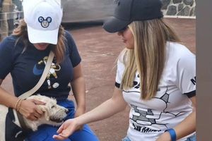 Pumas inició con el pie derecho la campaña 'Adopta un amigo'