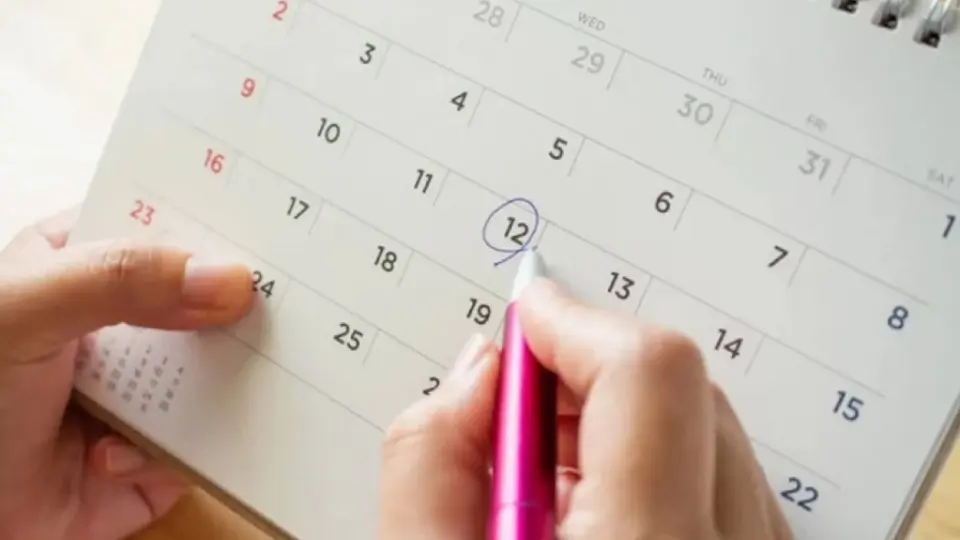 Megapuente noviembre 2023: ¿Para quiénes aplican los días de descanso?