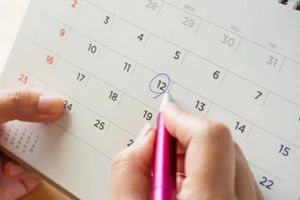 Megapuente noviembre 2023: ¿Para quiénes aplican los días de descanso?