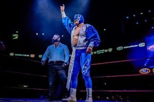 CMLL realizará el Torneo Cibernético de Leyendas con motivo al Día Nacional de la Lucha Libre Mexicana