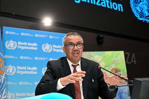 Enfermedad "X": Una Alerta de la OMS