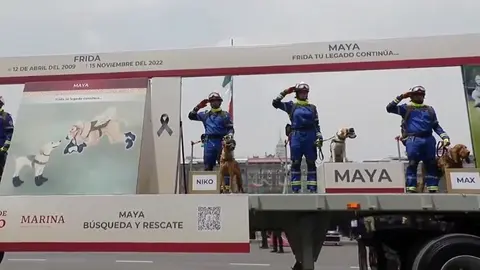 Rinden homenaje a Frida y Proteo, perros rescatistas, en Desfile Militar