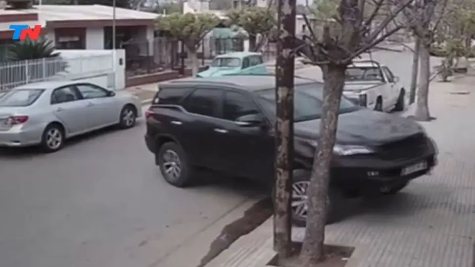 ¡No es broma! Apolo, un perro de Córdova Argentina, choca la camioneta de su dueño