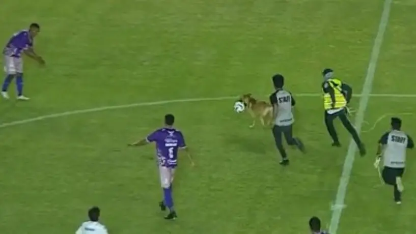 Perrito se mete a la cancha en Liga de Expansión, se 'come' a Messi y se burla a todos