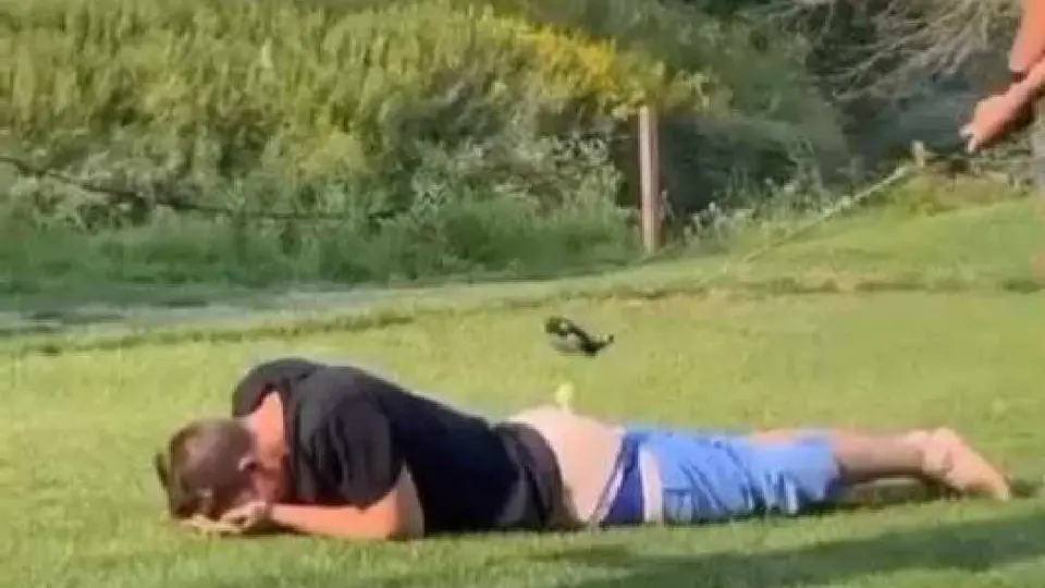 Joven detiene pelota de golf con gluteos y amigo lo golpea con el driver