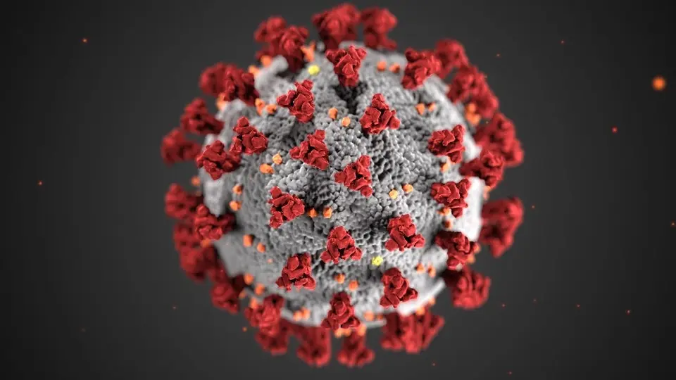 ¿Qué es el Virus Nipah, cómo se transmite y cuáles son sus síntomas?
