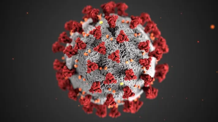 ¿Qué es el Virus Nipah, cómo se transmite y cuáles son sus síntomas?