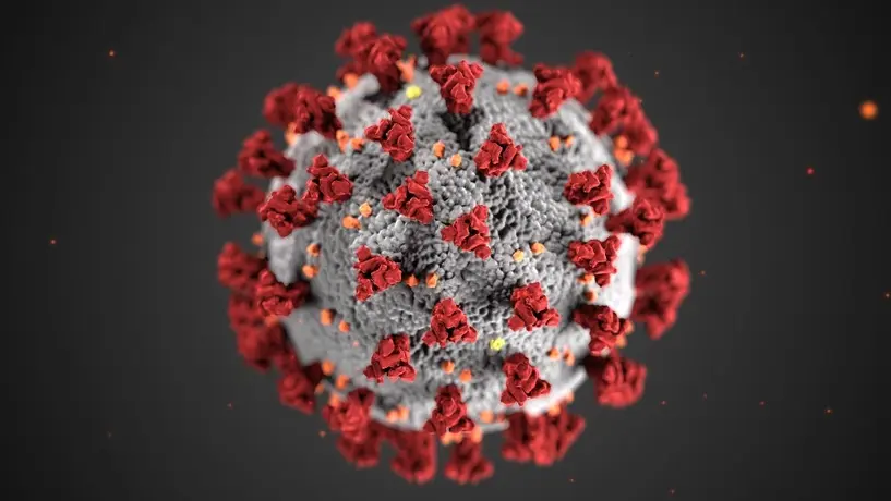 ¿Qué es el Virus Nipah, cómo se transmite y cuáles son sus síntomas?