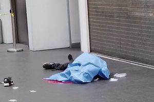 Murió hombre tras caer del tercer piso en Reforma 222