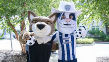 Mascotas de Rayados y Nashville protagonizan convivencia con niños en 'Casa Azafrán'
