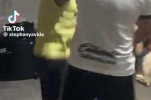 ¿Le habrán dicho que los eliminaron? Perro se vuelve viral al 'festejar' el triunfo del América