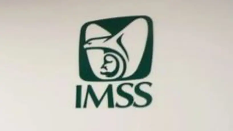 ¿Cómo registrar a un familiar en el IMSS? Requisitos y proceso para darlo de alta en 2026