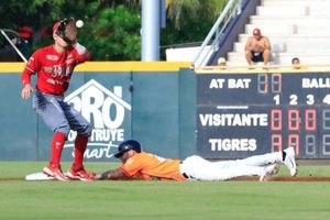 ¡Revancha! Los Diablos Rojos se enfrentarán contra los Tigres en los Playoffs de la LMB