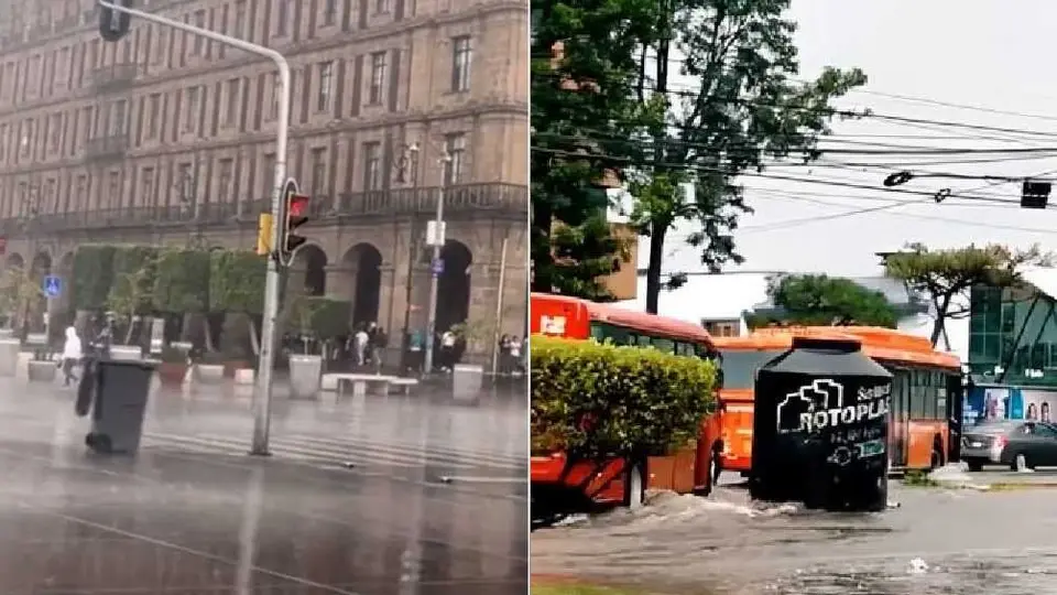 Del famoso tinaco en Guadalajara, al bote de basura que recorre el Zócalo en la CDMX