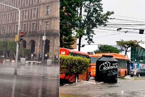 Del famoso tinaco en Guadalajara, al bote de basura que recorre el Zócalo en la CDMX