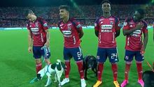 ¡Qué travieso! Perro orina a futbolista en partido del futbol colombiano