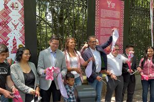 Maratón CDMX: Organizadores presentan Galería de fotografías icónicas del evento