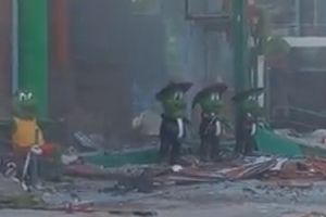 Roban las icónicas ranas del Sr. Frogs en Acapulco