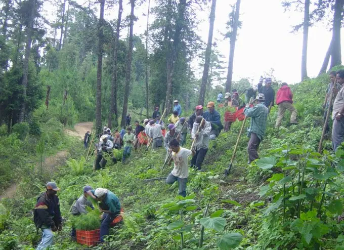 Seis campesinos regresaron con sus familias tras un operativo el 16 de octubre, pero Domingo continúa sin ser localizado./X@njzb_