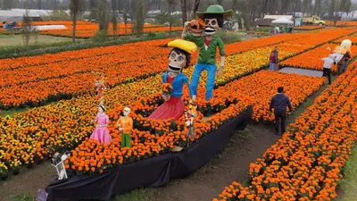 Día de Muertos 2026 en CDMX: fechas del desfile, Megaofrenda y Catrina gigante