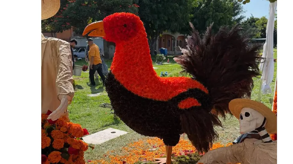 Un gallo gigante elaborado con flores de cempasúchil destaca entre los adornos colocados en la sepultura de ‘El Mencho’./ Florerías Alex y Di Aroma