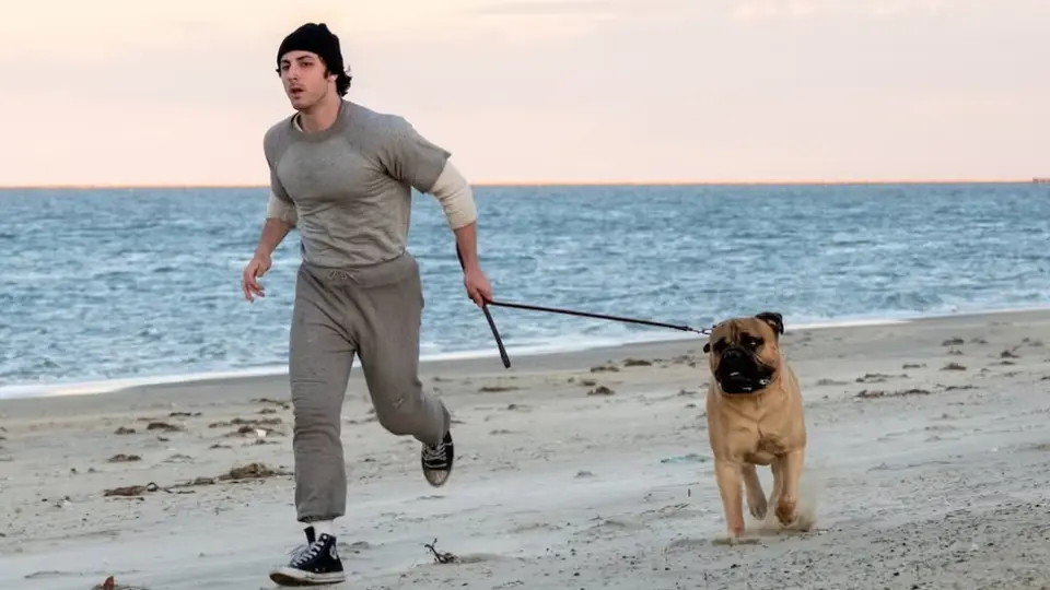 Yo soy Rocky: fecha de estreno, reparto y todo lo que debes saber sobre la película