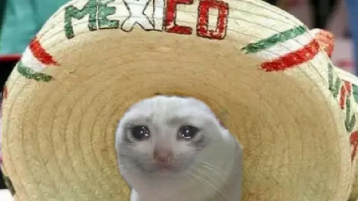 ‘Mechico’: Los mejores memes de la derrota de México a mano de Argentina en el Mundial Sub-20