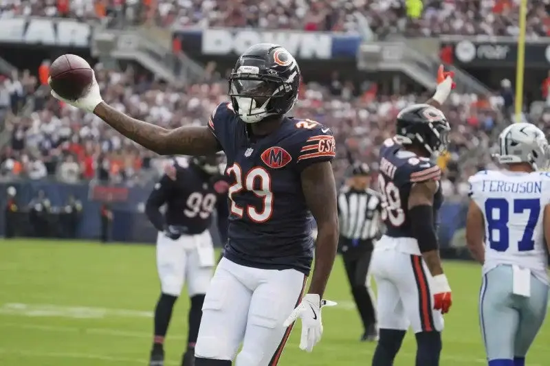 Bears | AP