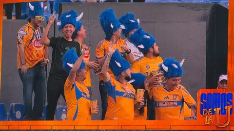 La "Búfalomanía" en El Volcán | @PressPortmx