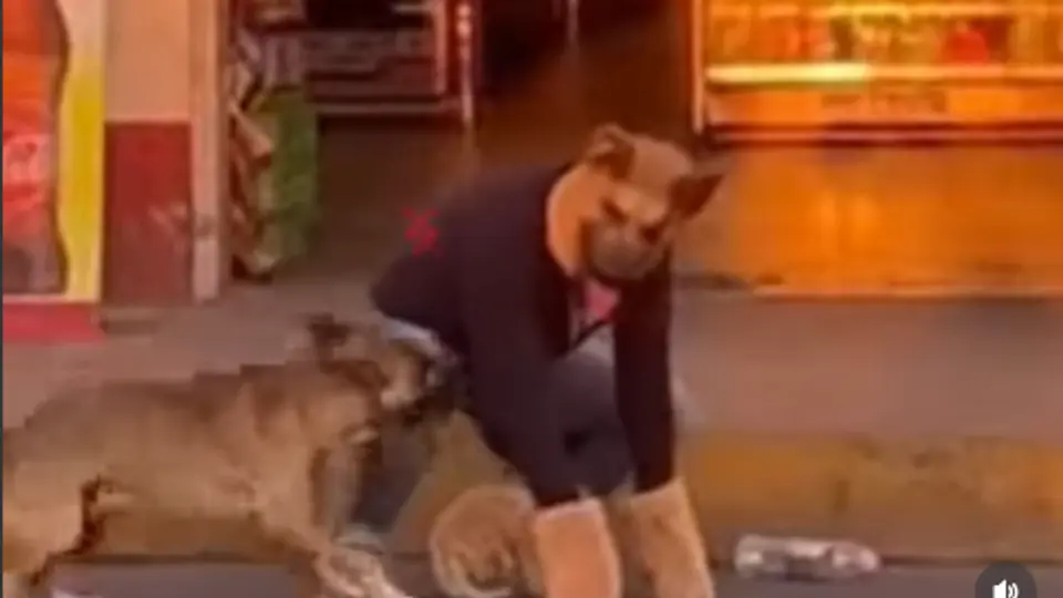 Perro ataca a Therian que experimentaba movimientos en la calle