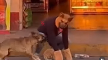Perro ataca a Therian que experimentaba movimientos en la calle