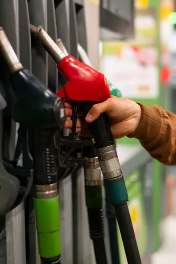 Los apoyos estarán vigentes del 21 al 27 de marzo de 2026 / FREEPIK