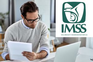 ¿Cómo consultar tus semanas cotizadas en el IMSS en línea? Así puedes hacerlo