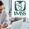 ¿Cómo consultar tus semanas cotizadas en el IMSS en línea? Así puedes hacerlo